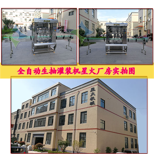 生抽灌裝機(jī),全自動(dòng)生抽灌裝機(jī)